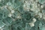 Cubic, Blue-Green Fluorite Crystals on Druzy Quartz - Fluorescent #185456-3